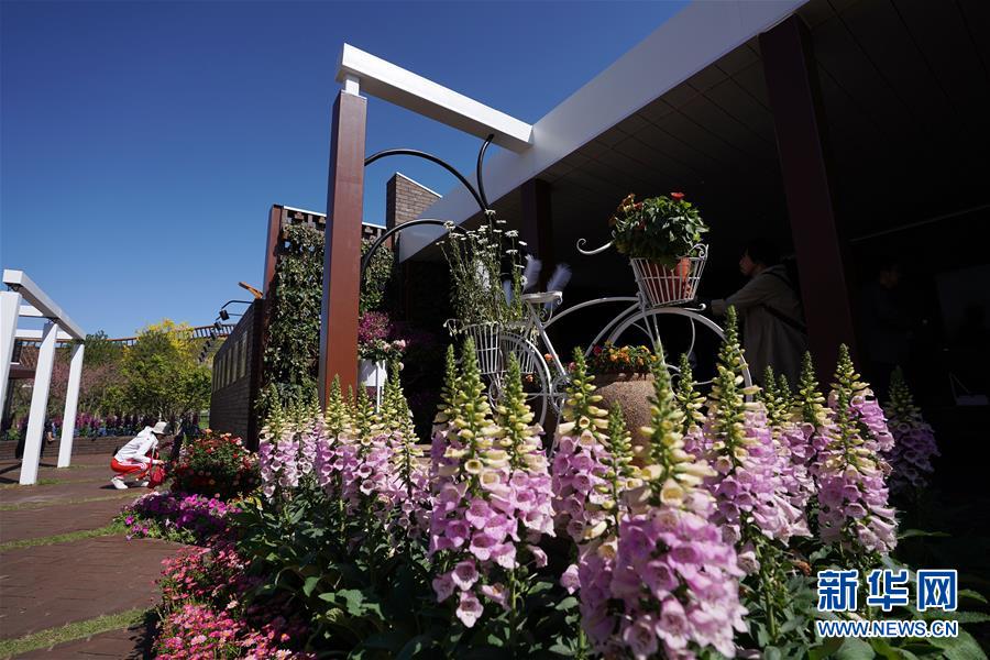 （北京世園會(huì)）（2）北京世園會(huì)迎來&ldquo;天津日&rdquo;