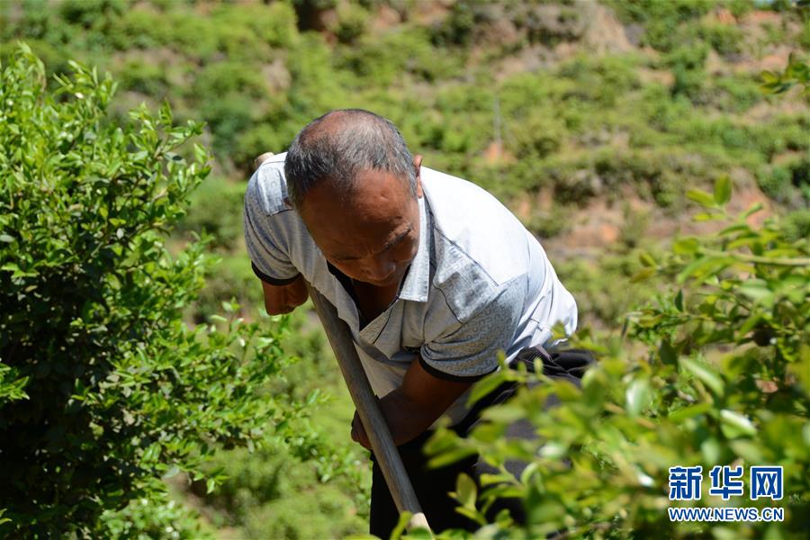 (壯麗70年&middot;奮斗新時(shí)代&middot;圖文互動(dòng)）（1）福建長(zhǎng)?。簱Q顏&ldquo;山光水濁&rdquo; 永駐綠水青山