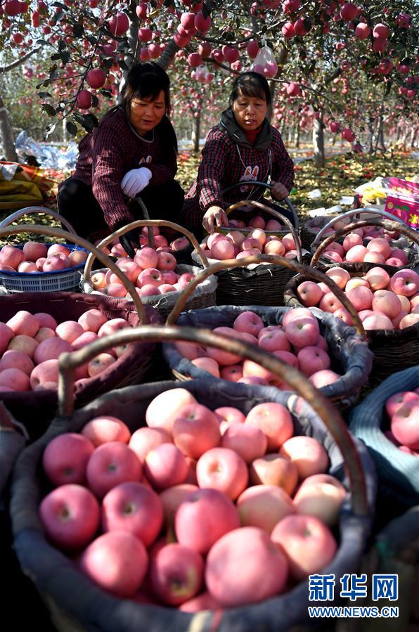（新華全媒頭條&middot;圖文互動(dòng)）（10）春暉沐浴寶塔山&mdash;&mdash;寫(xiě)在延安各縣整體脫貧摘帽之際