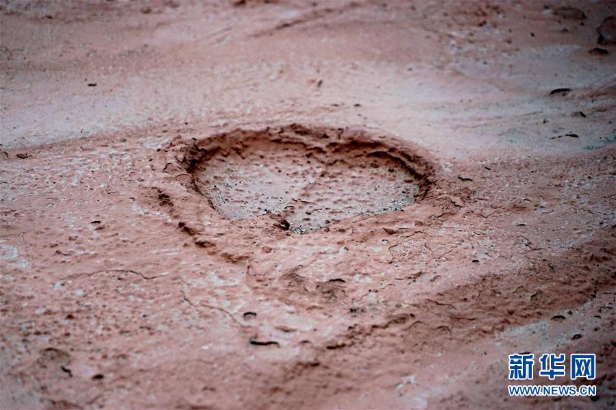 （新華全媒頭條&middot;圖文互動）（8）&ldquo;若問古今興廢事，請君只看洛陽城&rdquo;&mdash;&mdash;千年古都&ldquo;烹制&rdquo;博物館盛宴