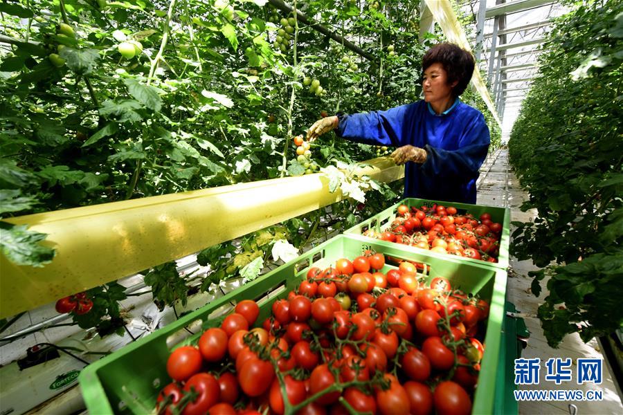 （新華全媒頭條&middot;圖文互動(dòng)）（6）屹然砥柱立中流&mdash;&mdash;&ldquo;今日之中國(guó)&rdquo;系列述評(píng)之二