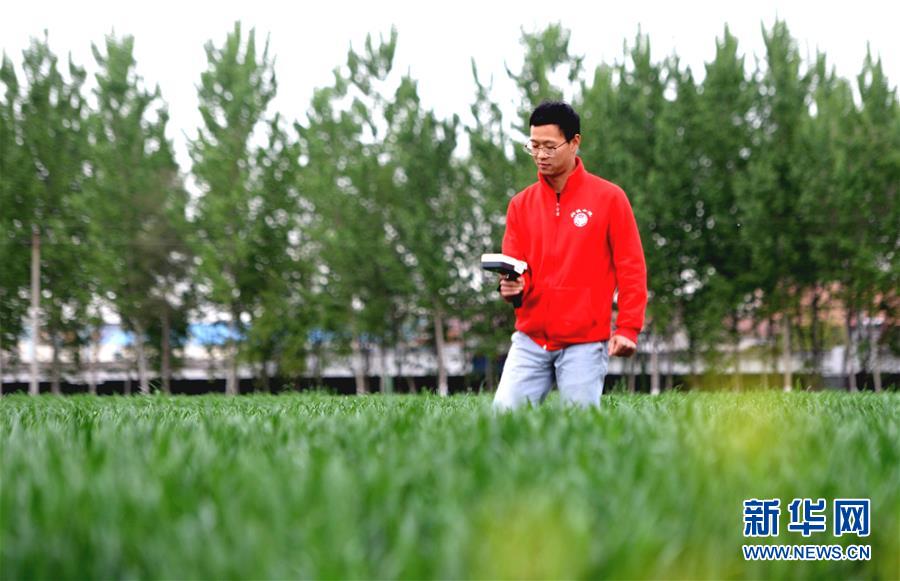 （新華全媒頭條&middot;愛國情 奮斗者&middot;圖文互動）（5）把論文寫在祖國的大地上&mdash;&mdash;中國農(nóng)業(yè)大學(xué)46年扎根河北曲周服務(wù)鄉(xiāng)村振興紀(jì)實(shí)