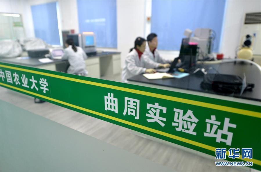 （新華全媒頭條&middot;愛國情 奮斗者&middot;圖文互動）（10）把論文寫在祖國的大地上&mdash;&mdash;中國農(nóng)業(yè)大學(xué)46年扎根河北曲周服務(wù)鄉(xiāng)村振興紀(jì)實(shí)