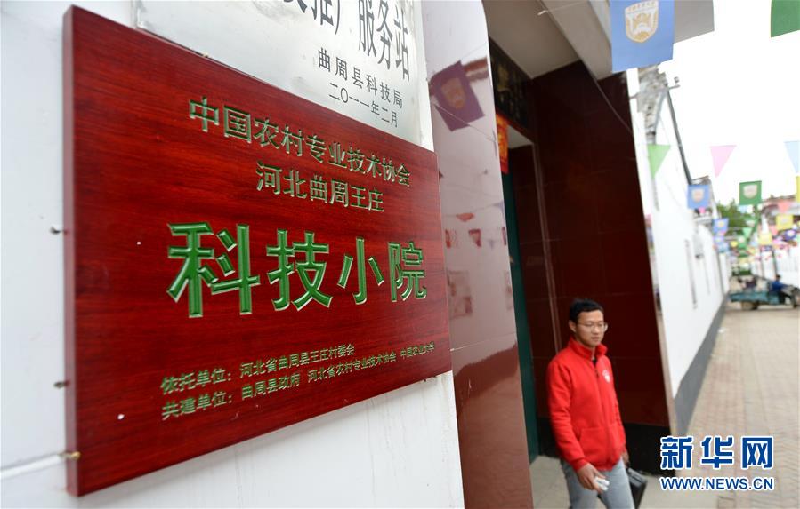 （新華全媒頭條&middot;愛國情 奮斗者&middot;圖文互動）（11）把論文寫在祖國的大地上&mdash;&mdash;中國農(nóng)業(yè)大學(xué)46年扎根河北曲周服務(wù)鄉(xiāng)村振興紀(jì)實(shí)