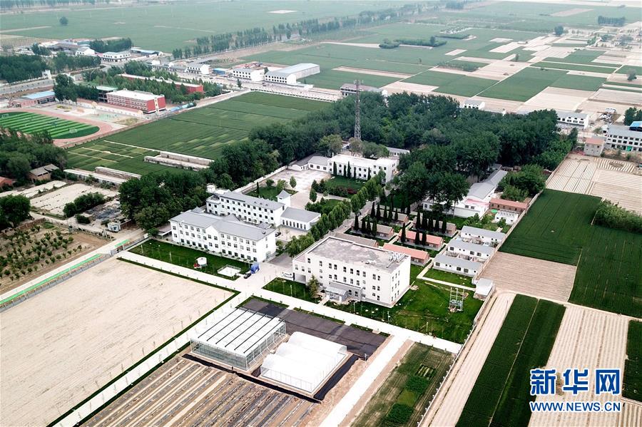 （新華全媒頭條&middot;愛國情 奮斗者&middot;圖文互動）（12）把論文寫在祖國的大地上&mdash;&mdash;中國農(nóng)業(yè)大學(xué)46年扎根河北曲周服務(wù)鄉(xiāng)村振興紀(jì)實(shí)