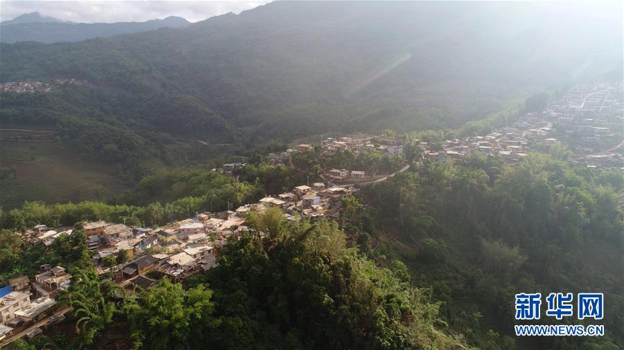 （直過民族脫貧攻堅&middot;圖文互動）（1）又見白鷴鳥