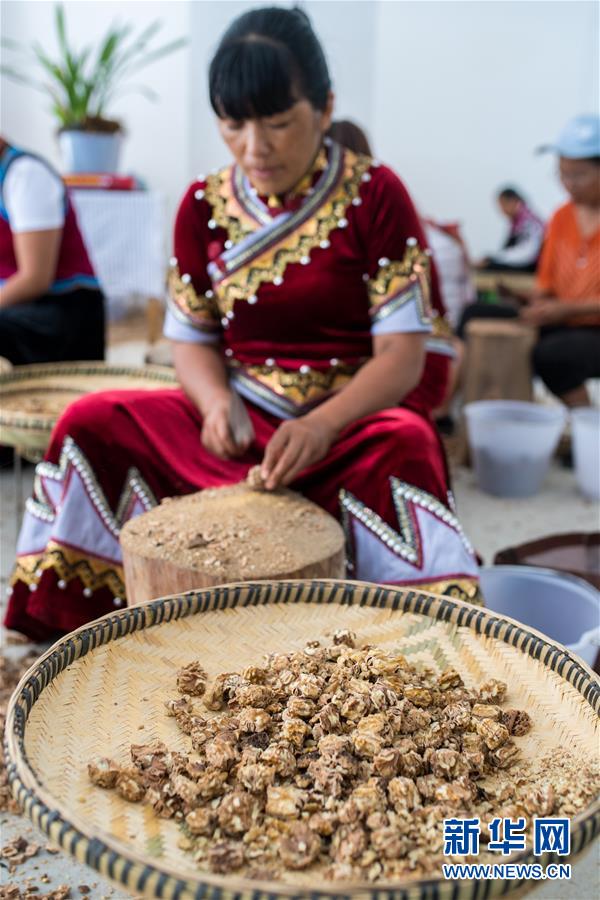 （直過民族脫貧攻堅(jiān)&middot;圖文互動(dòng)）（5）下山！傈僳群眾開啟新生活