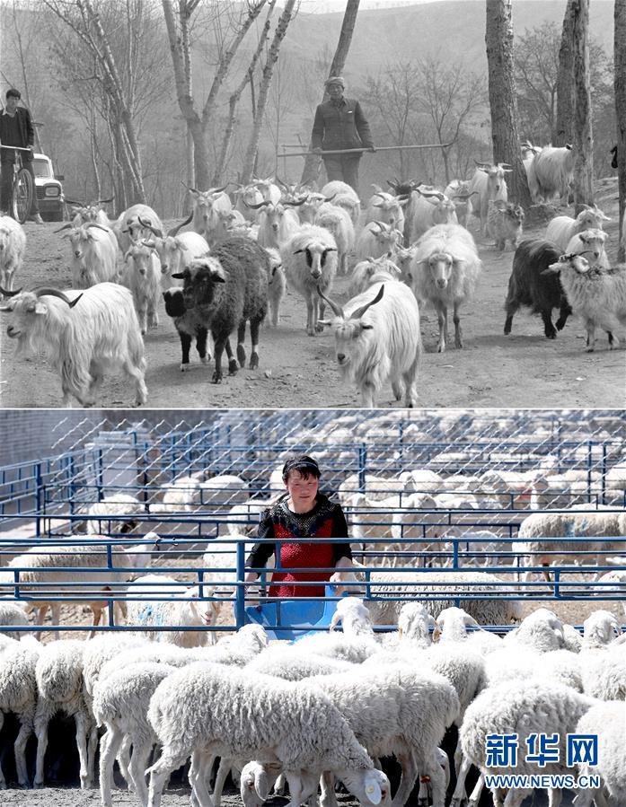 （新華全媒頭條&middot;圖文互動(dòng)）（4）不忘初心使命 永立時(shí)代潮頭&mdash;&mdash;寫在中國(guó)共產(chǎn)黨成立98周年之際