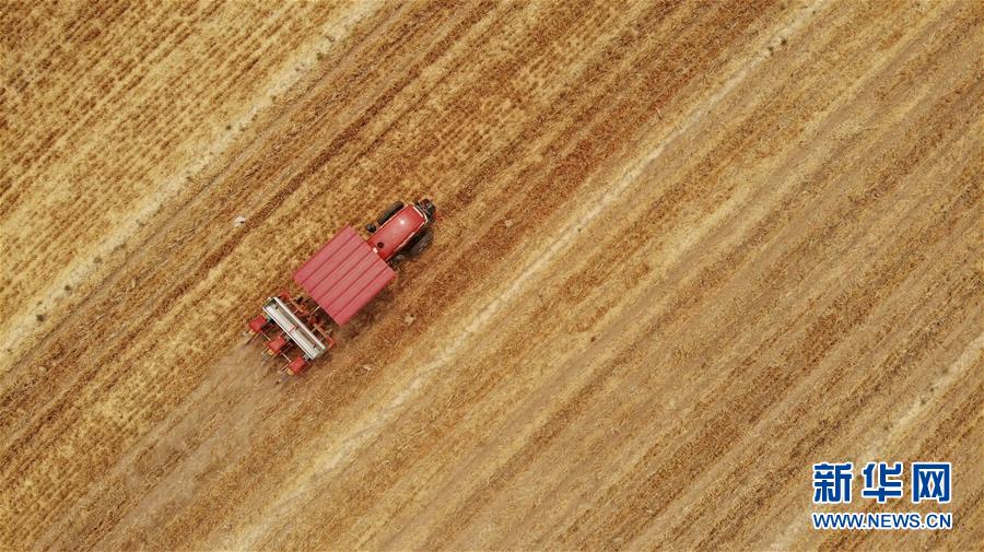 （新華全媒頭條&middot;圖文互動）（7）一個(gè)傳統(tǒng)農(nóng)業(yè)縣的脫貧之路&mdash;&mdash;來自河北新河的調(diào)查報(bào)告