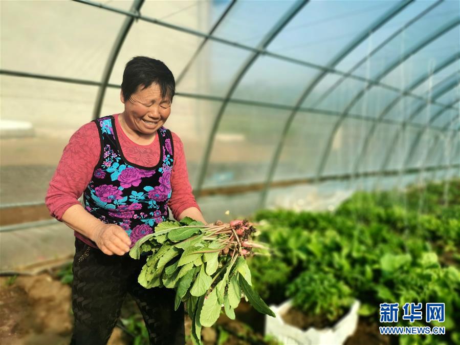 （圖文互動(dòng)）（3）（在習(xí)近平新時(shí)代中國特色社會(huì)主義思想指引下&mdash;&mdash;新時(shí)代新作為新篇章）&ldquo;團(tuán)結(jié)&rdquo;振興團(tuán)結(jié)村&mdash;&mdash;黑龍江拜泉縣團(tuán)結(jié)村凝聚民心攻堅(jiān)脫貧