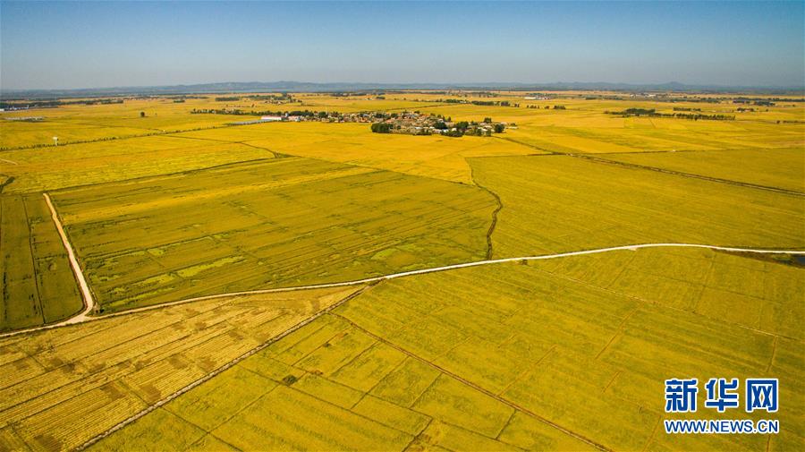 （在習(xí)近平新時代中國特色社會主義思想指引下&mdash;&mdash;新時代新作為新篇章&middot;圖文互動）（2）吉林萬昌現(xiàn)代農(nóng)業(yè)發(fā)展先導(dǎo)區(qū)&ldquo;三變&rdquo; 