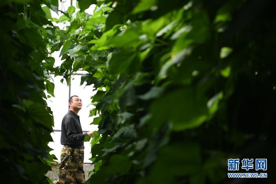 （壯麗70年&middot;奮斗新時(shí)代&mdash;&mdash;共和國(guó)發(fā)展成就巡禮&middot;圖文互動(dòng)）（7）以&ldquo;綠色&rdquo;身姿站上發(fā)展前沿&mdash;&mdash;甘肅綠色轉(zhuǎn)型發(fā)展紀(jì)實(shí)