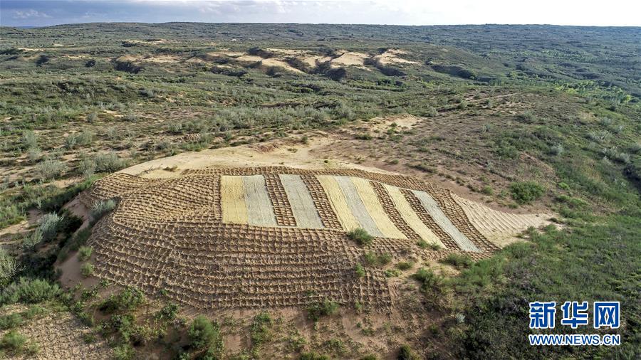 （壯麗70年&middot;奮斗新時(shí)代&mdash;&mdash;共和國發(fā)展成就巡禮&middot;圖文互動(dòng)）（6）生態(tài)美、百姓富&mdash;&mdash;品讀嶄新&ldquo;寧夏畫卷&rdquo;