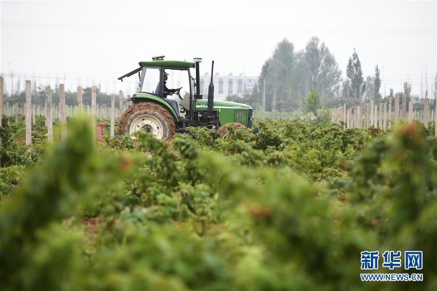 （壯麗70年&middot;奮斗新時(shí)代&mdash;&mdash;共和國發(fā)展成就巡禮&middot;圖文互動(dòng)）（10）生態(tài)美、百姓富&mdash;&mdash;品讀嶄新&ldquo;寧夏畫卷&rdquo;