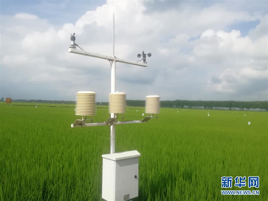 （在習(xí)近平新時代中國特色社會主義思想指引下&mdash;&mdash;新時代新作為新篇章&middot;圖文互動）（1）從&ldquo;靠天吃飯&rdquo;到&ldquo;看天管理&rdquo;&mdash;&mdash;黑龍江創(chuàng)新氣象為農(nóng)服務(wù)體系觀察