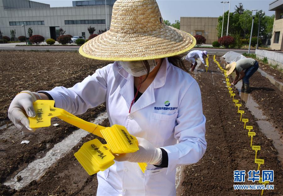（壯麗70年&middot;奮斗新時代&mdash;&mdash;共和國發(fā)展成就巡禮）（10）看今朝齊風(fēng)魯韻　七十載芳華正勁&mdash;&mdash;新中國成立以來山東領(lǐng)先發(fā)展紀實
