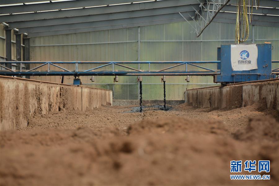 （在習(xí)近平新時(shí)代中國(guó)特色社會(huì)主義思想指引下&mdash;&mdash;新時(shí)代新作為新篇章&middot;總書(shū)記關(guān)心的百姓身邊事&middot;圖文互動(dòng)）（5）大污染變身&ldquo;大寶藏&rdquo;：治理畜禽糞污，他們這樣干！