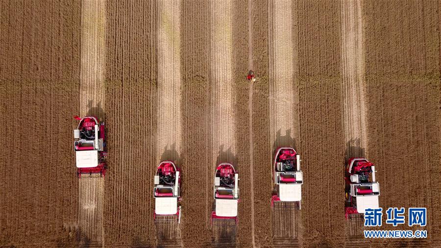 （&ldquo;中國(guó)之度&rdquo;系列述評(píng)&middot;圖文互動(dòng)）（8）中國(guó)速度&mdash;&mdash;新中國(guó)成立70周年成就述評(píng)之三