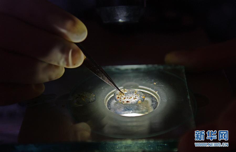 (紅土地“往事新說”·圖文互動)(1)昔日送“瘟神” 今朝健康促小康