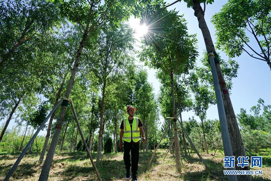 （壯麗70年&middot;奮斗新時(shí)代&middot;重溫囑托看變化&middot;圖文互動(dòng)）（1）雄安新區(qū)：錨定高質(zhì)量發(fā)展　奮力書(shū)寫新時(shí)代答卷