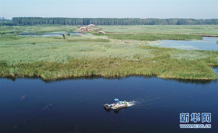 （壯麗70年&middot;奮斗新時(shí)代&middot;重溫囑托看變化&middot;圖文互動(dòng)）（4）雄安新區(qū)：錨定高質(zhì)量發(fā)展　奮力書(shū)寫新時(shí)代答卷