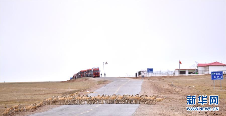 （新華全媒頭條&middot;圖文互動(dòng)）（4）確保&ldquo;中華水塔&rdquo;碧水東流&mdash;&mdash;中國三江源生態(tài)保護(hù)報(bào)告