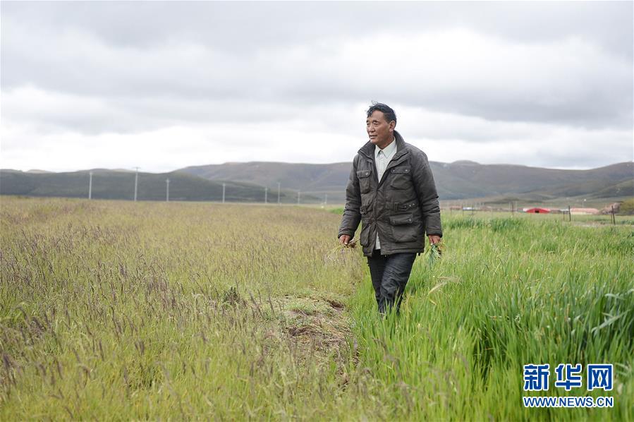 （新華全媒頭條&middot;圖文互動(dòng)）（8）確保&ldquo;中華水塔&rdquo;碧水東流&mdash;&mdash;中國三江源生態(tài)保護(hù)報(bào)告