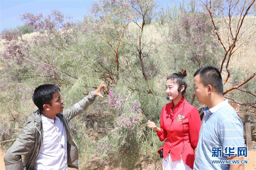 （走讀黃河&middot;圖文互動）（2）中衛(wèi)：33萬畝沙區(qū)變灌區(qū)