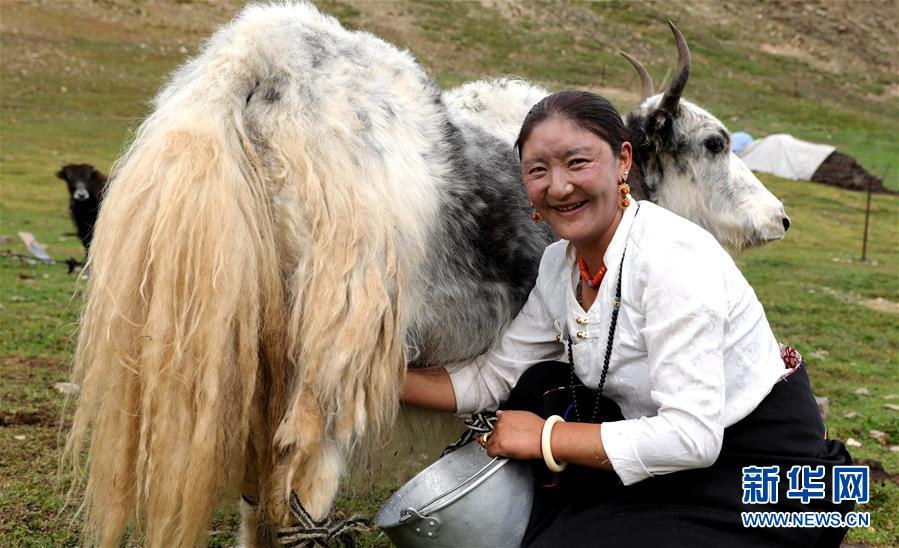 （決戰(zhàn)決勝脫貧攻堅&middot;圖文互動）（9）以保護促脫貧　以脫貧助保護&mdash;&mdash;長江源頭第一縣的生態(tài)發(fā)展選擇