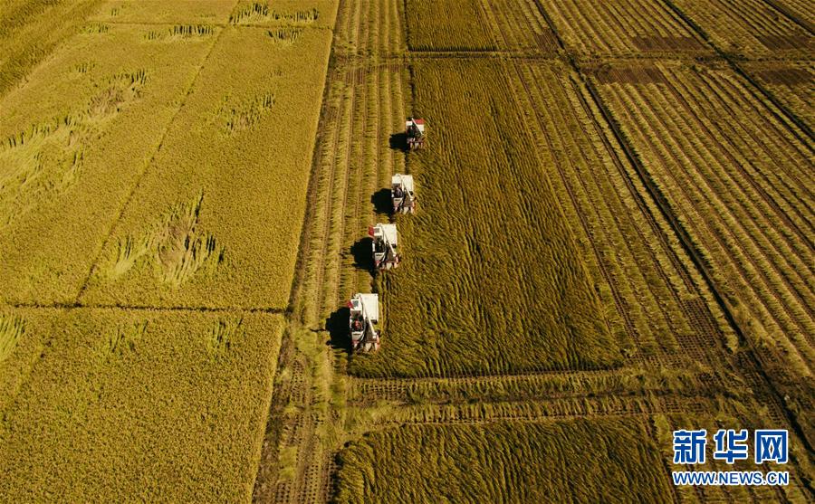 （新華全媒頭條&middot;圖文互動）（5）紅色的傳承，藍圖的起點&mdash;&mdash;新中國孕育與發(fā)展的&ldquo;東北記憶&rdquo;