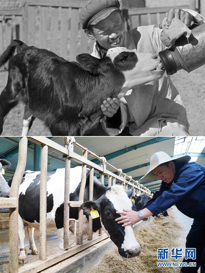 （壯麗70年&middot;奮斗新時(shí)代）（8）70年時(shí)光流影 70行見(jiàn)證發(fā)展