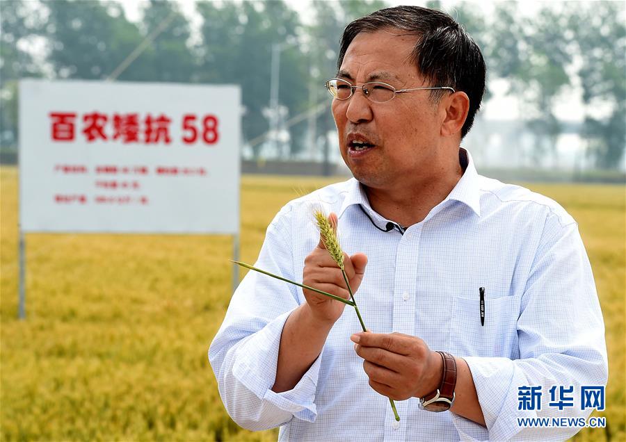 （新華全媒頭條&middot;圖文互動(dòng)）（15）大國(guó)糧倉(cāng)的新時(shí)代交響&mdash;&mdash;河南農(nóng)業(yè)70年觀(guān)察