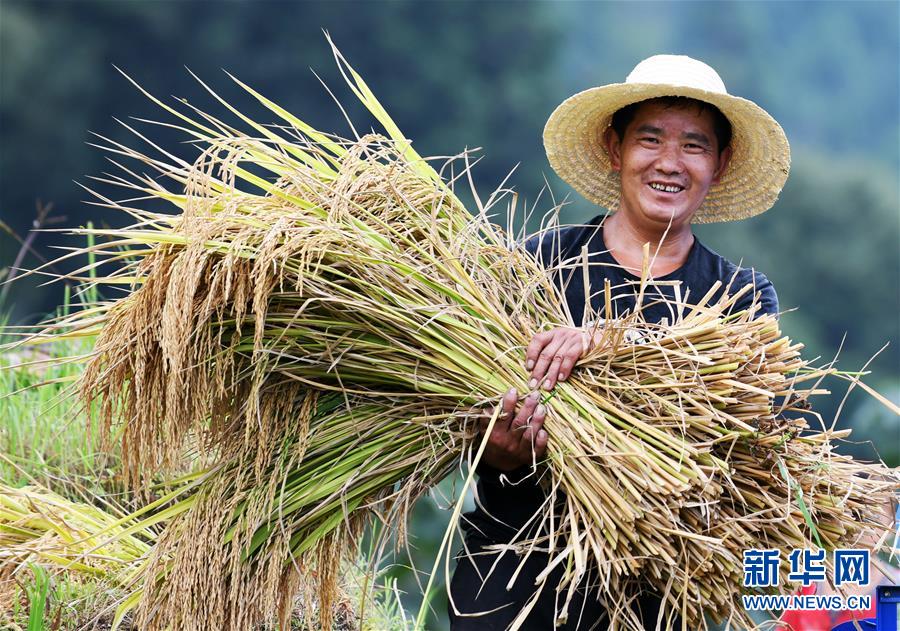 （全面深化改革&middot;圖文互動）（2）&ldquo;減&rdquo;出效益 &ldquo;融&rdquo;出特色 &ldquo;服&rdquo;出動力&mdash;&mdash;貴州推進農(nóng)村產(chǎn)業(yè)結(jié)構(gòu)調(diào)整觀察