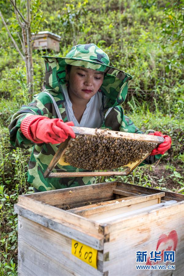 (圖文互動(dòng))(7)太陽(yáng)照耀“人類童年”——新時(shí)代直過(guò)民族脫貧攻堅(jiān)紀(jì)事