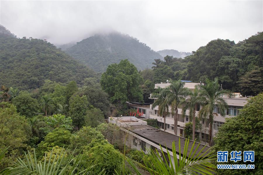 （圖文互動(dòng)）（3）科學(xué)接續(xù)保護(hù) 守住生態(tài)紅線&mdash;&mdash;探訪&ldquo;北回歸沙漠帶上的綠色明珠&rdquo;