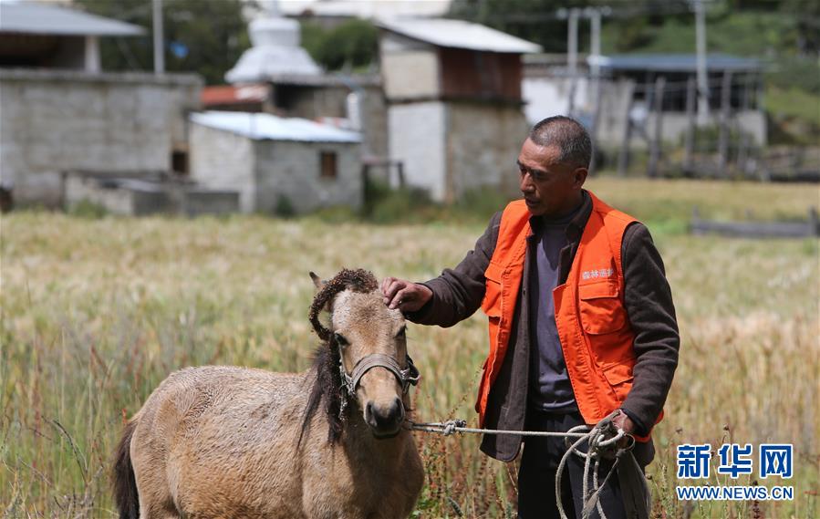 （新華全媒頭條&middot;決戰(zhàn)決勝脫貧攻堅(jiān)&middot;圖文互動(dòng)）（4）為了人與自然和諧共生&mdash;&mdash;云南&ldquo;三江并流&rdquo;地區(qū)決戰(zhàn)精準(zhǔn)脫貧的&ldquo;生態(tài)畫(huà)卷&rdquo;