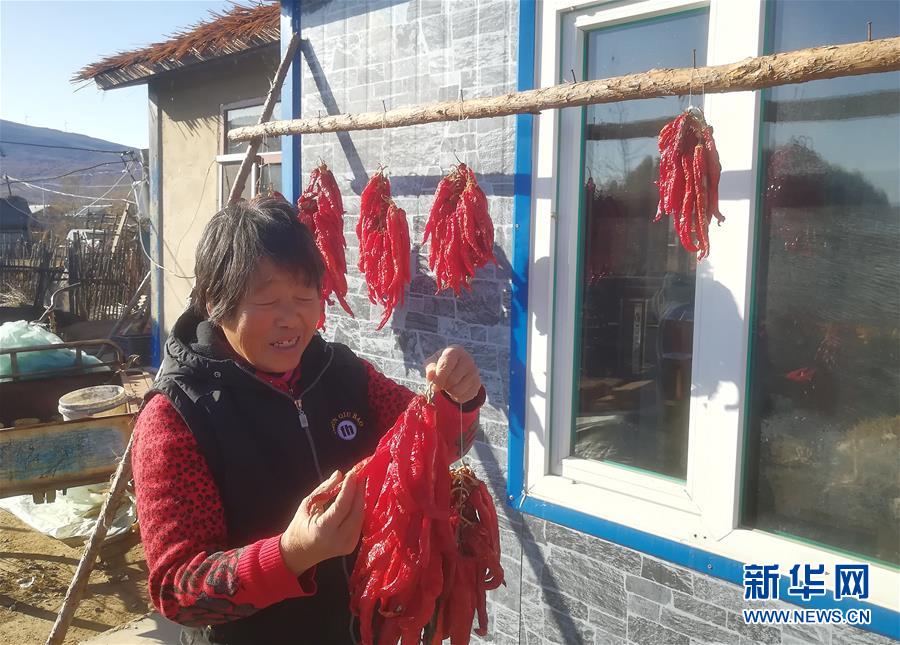 （在習(xí)近平新時(shí)代中國(guó)特色社會(huì)主義思想指引下&mdash;&mdash;新時(shí)代新作為新篇章&middot;總書(shū)記關(guān)心的百姓身邊事&middot;圖文互動(dòng)）（3）一個(gè)貧困山村的振興新動(dòng)能&mdash;&mdash;小故事里的大情懷之五