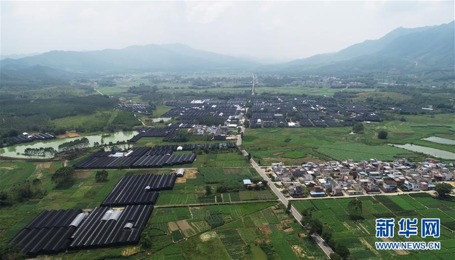 （在習(xí)近平新時(shí)代中國(guó)特色社會(huì)主義思想指引下&mdash;&mdash;新時(shí)代新作為新篇章&middot;總書(shū)記關(guān)心的百姓身邊事&middot;圖文互動(dòng)）（1）&ldquo;科技秀才&rdquo;給田野帶來(lái)新希望