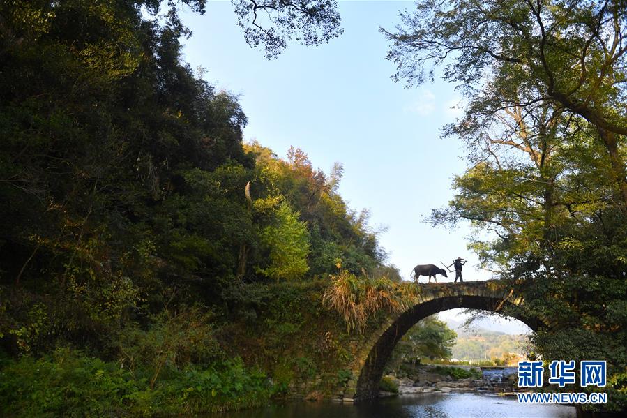 （圖文互動）（3）鄉(xiāng)村攝影師、鄉(xiāng)村&ldquo;模特&rdquo;、民宿店主&mdash;&mdash;鄉(xiāng)村旅游推動婺源農(nóng)民生活方式發(fā)生新變化