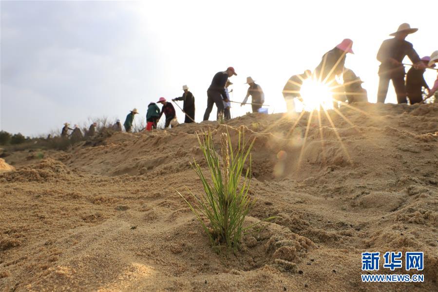 （在習(xí)近平新時(shí)代中國特色社會(huì)主義思想指引下&mdash;&mdash;新時(shí)代新作為新篇章&middot;總書記關(guān)切高質(zhì)量發(fā)展&middot;圖文互動(dòng)）（4）在藍(lán)天白云下&mdash;&mdash;污染防治攻堅(jiān)戰(zhàn)持續(xù)推進(jìn)