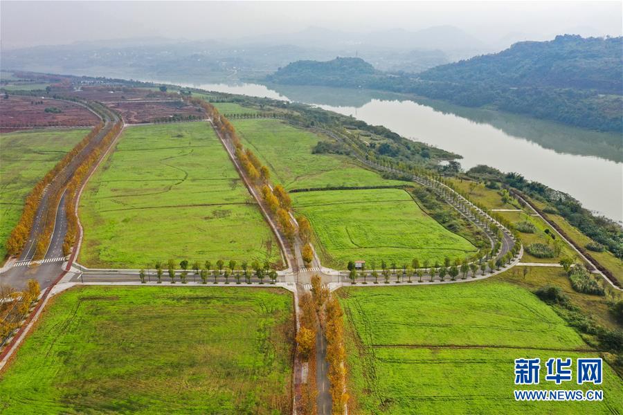 （四中全會精神在基層&middot;圖文互動）（2）一江碧水串起綠色島鏈&mdash;&mdash;重慶江心島&ldquo;生態(tài)留白&rdquo;調查