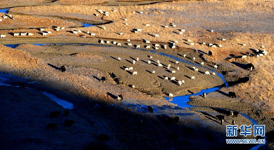 （新華全媒頭條&middot;圖文互動）（15）格?；ㄩ_滿天路&mdash;&mdash;寫在川藏公路通車65周年之際