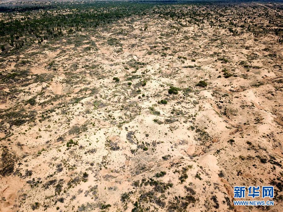 （圖文互動(dòng)）（2）陜西榆林毀林建光伏電站追蹤：還有哪些疑團(tuán)有待破解？ 