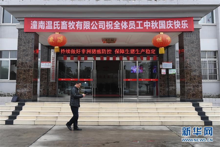 （在習(xí)近平新時(shí)代中國(guó)特色社會(huì)主義思想指引下&mdash;&mdash;新時(shí)代新作為新篇章&middot;總書記關(guān)切高質(zhì)量發(fā)展&middot;圖文互動(dòng)）（1）穩(wěn)住&ldquo;一頭豬&rdquo;、供好&ldquo;一袋米&rdquo;、配好&ldquo;一籃菜