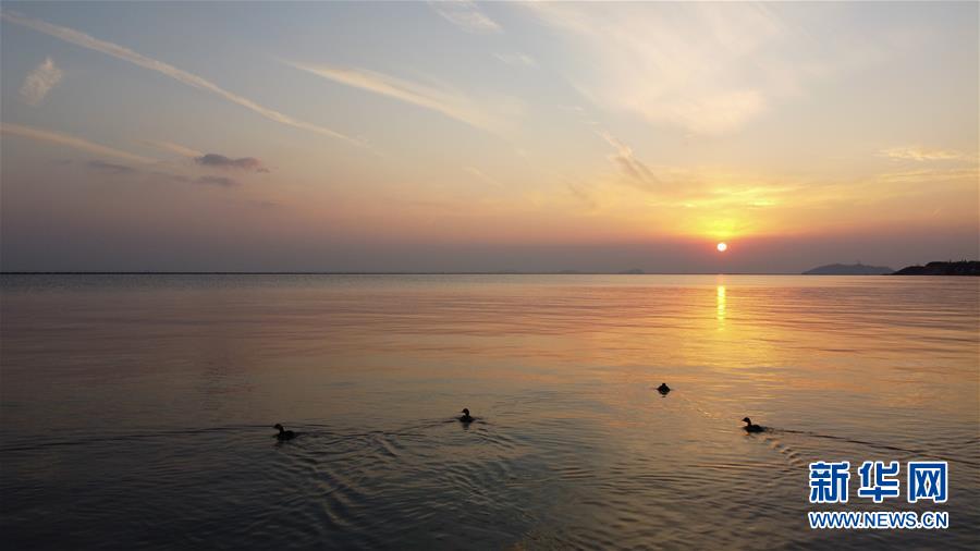 （新華全媒頭條&middot;圖文互動）（4）大湖見證&mdash;&mdash;長三角三大淡水湖綠色發(fā)展之路