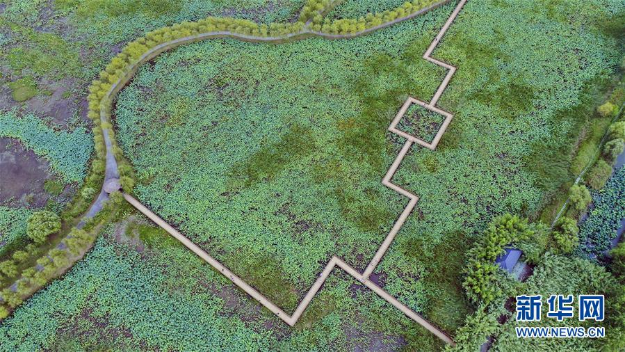 （新華全媒頭條&middot;圖文互動）（9）大湖見證&mdash;&mdash;長三角三大淡水湖綠色發(fā)展之路