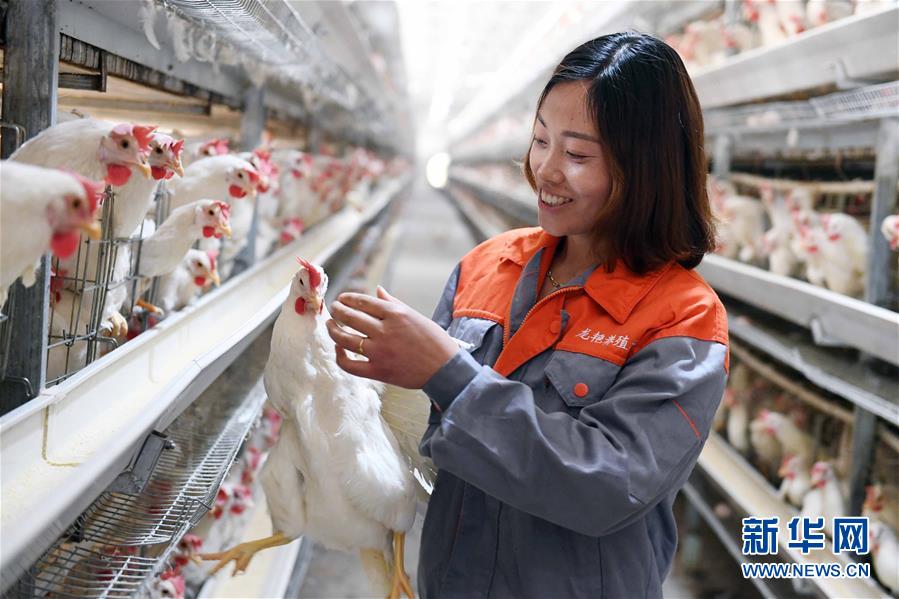 （新華全媒頭條&middot;兩會特別報道&middot;圖文互動）（6）在推進(jìn)高質(zhì)量發(fā)展中創(chuàng)造廣闊空間&mdash;&mdash;從全國兩會看奮進(jìn)中國的發(fā)展機(jī)遇