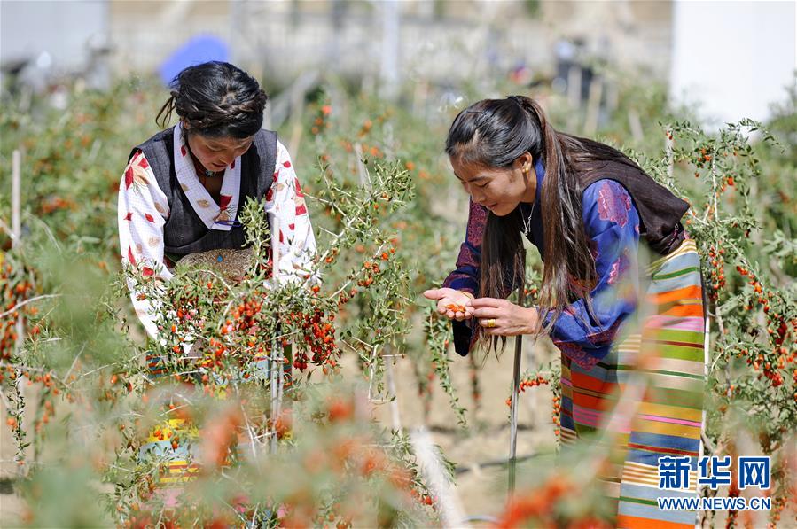 （新華全媒頭條&middot;兩會特別報道&middot;圖文互動）（7）在推進(jìn)高質(zhì)量發(fā)展中創(chuàng)造廣闊空間&mdash;&mdash;從全國兩會看奮進(jìn)中國的發(fā)展機(jī)遇