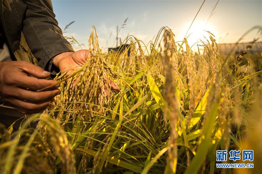 （新華全媒頭條&middot;圖文互動(dòng)）（5）上下同心再出發(fā)&mdash;&mdash;習(xí)近平總書記同出席2019年全國(guó)兩會(huì)人大代表、政協(xié)委員共商國(guó)是紀(jì)實(shí)