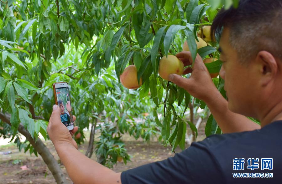 （在習(xí)近平新時(shí)代中國(guó)特色社會(huì)主義思想指引下&mdash;&mdash;新時(shí)代新作為新篇章&middot;總書記關(guān)切脫貧事&middot;決勝貧困&middot;圖文互動(dòng)）（6）讓一方水土&ldquo;富養(yǎng)&rdquo;一方人&mdash;&mdash;扶貧特色產(chǎn)業(yè)惠及千家萬戶